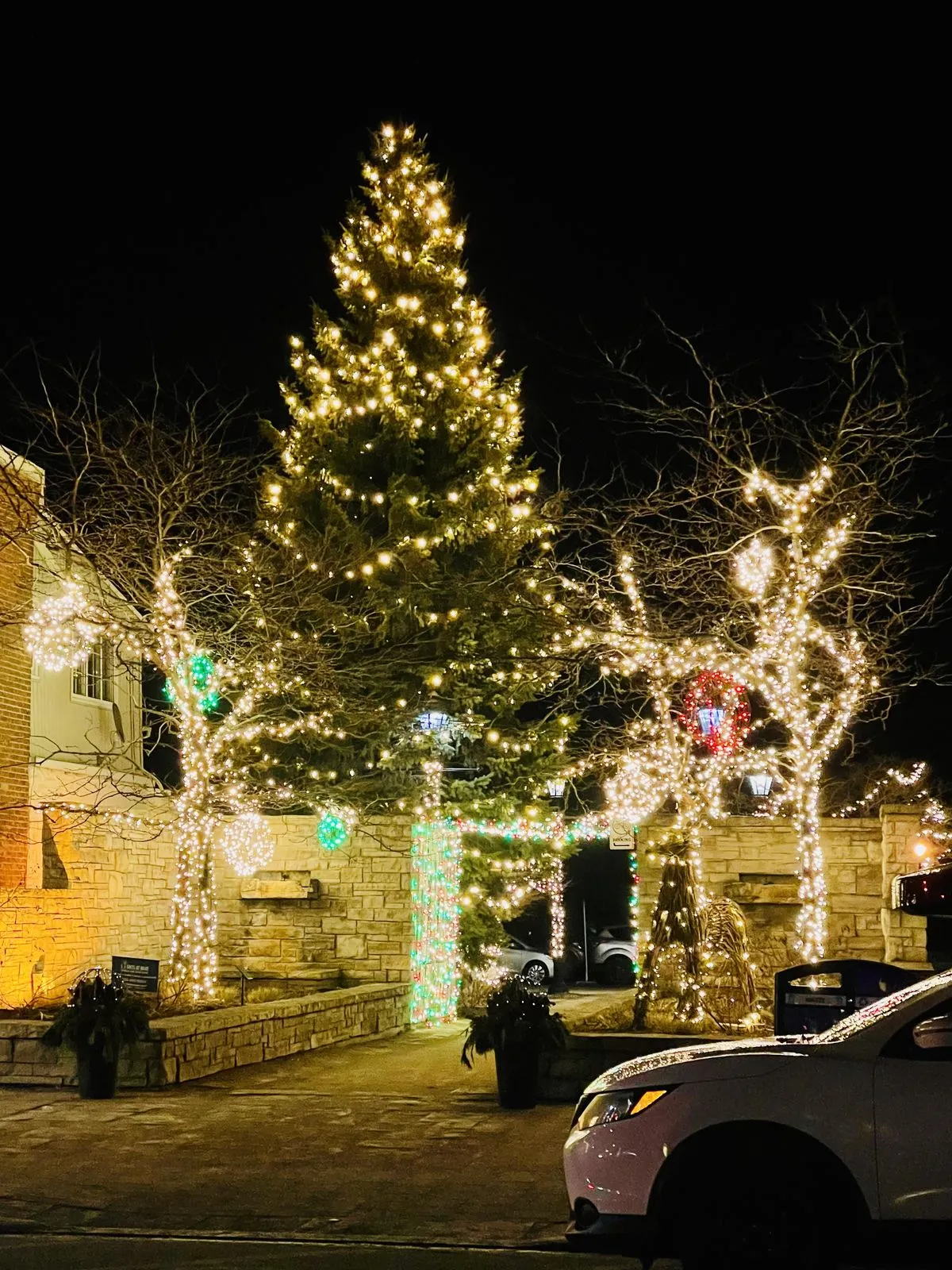 A downtown holiday display with a lit tree at night
